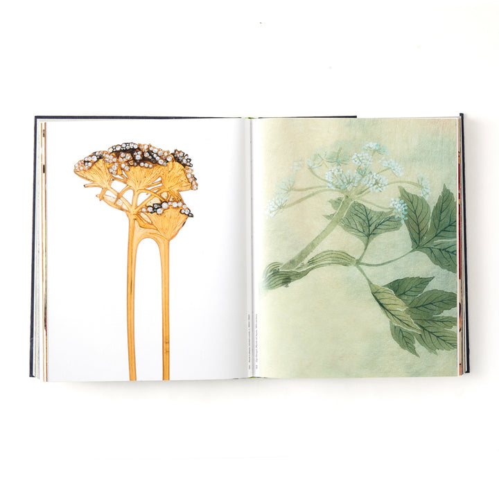Botanical: Observing Beauty