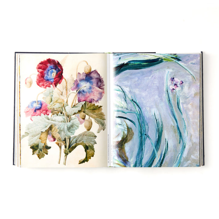 Botanical: Observing Beauty
