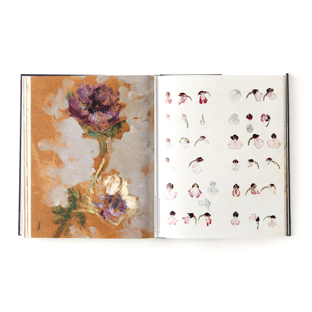 Botanical: Observing Beauty