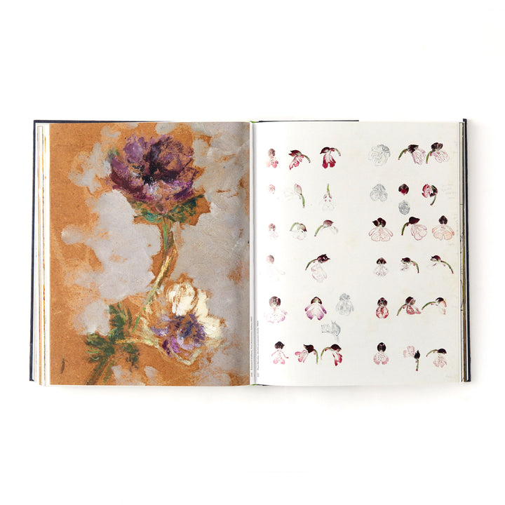 Botanical: Observing Beauty