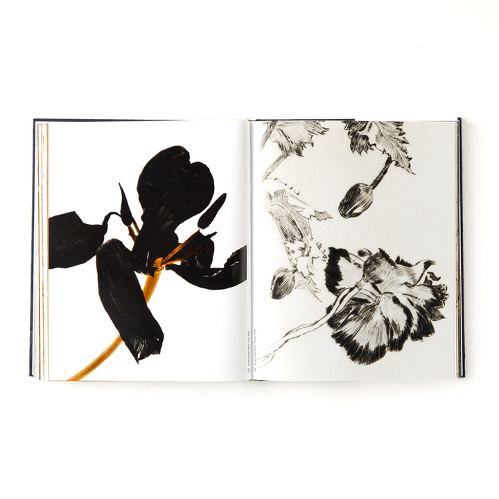 Botanical: Observing Beauty