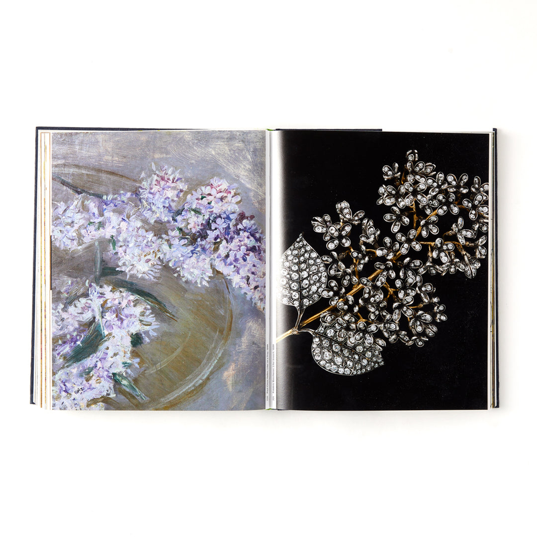 Botanical: Observing Beauty