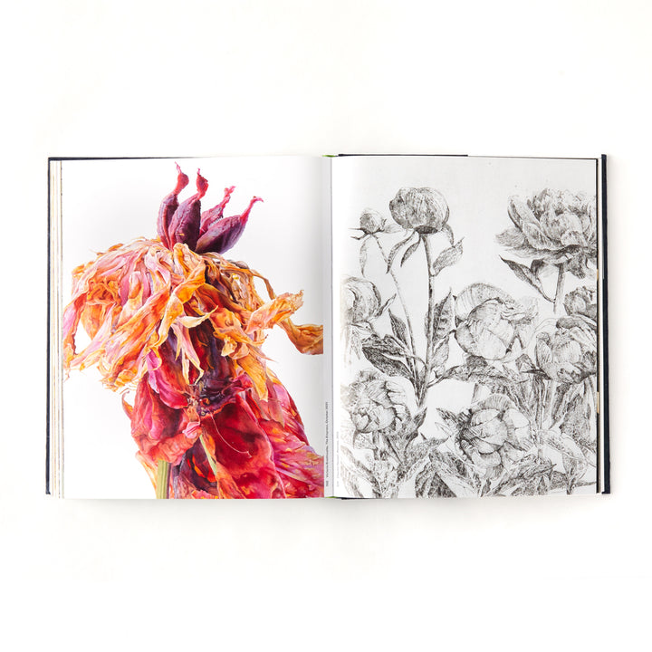 Botanical: Observing Beauty