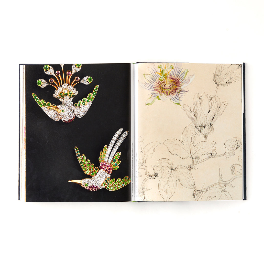 Botanical: Observing Beauty
