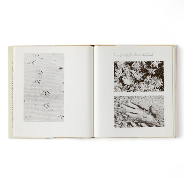 Klaus and Elizabeth Gemming, Block Island Summer, First Edition