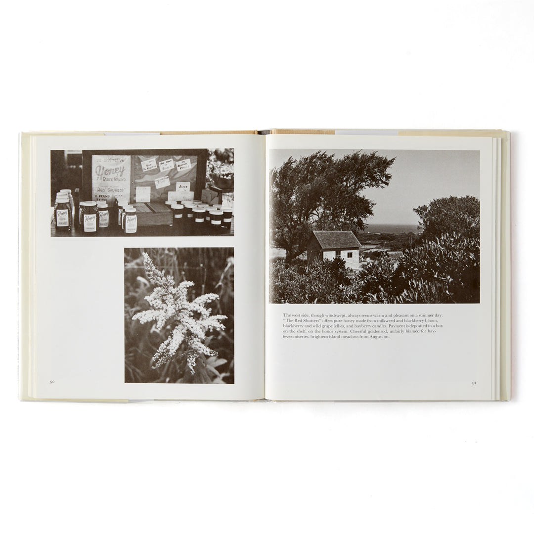 Klaus and Elizabeth Gemming, Block Island Summer, First Edition