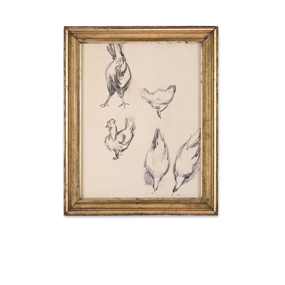 Paul Chidlaw, Framed Bird Study 3 1