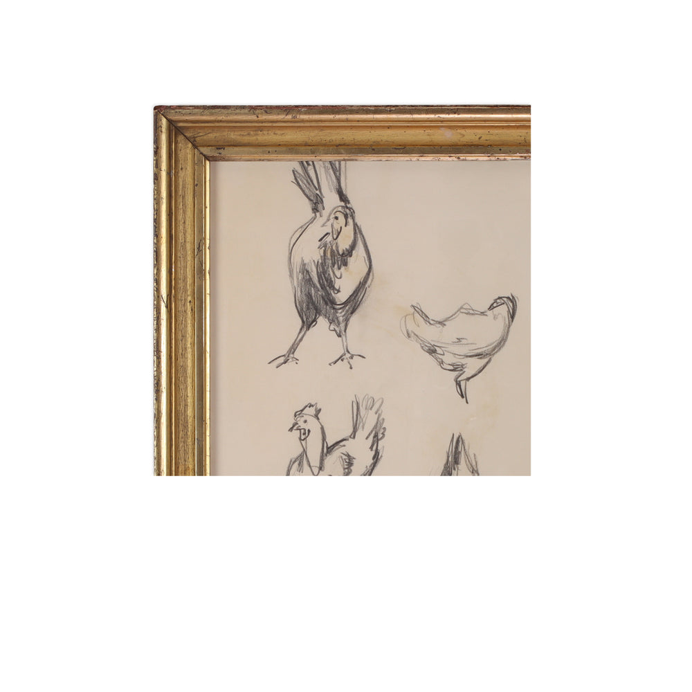 Paul Chidlaw, Framed Bird Study 3 2
