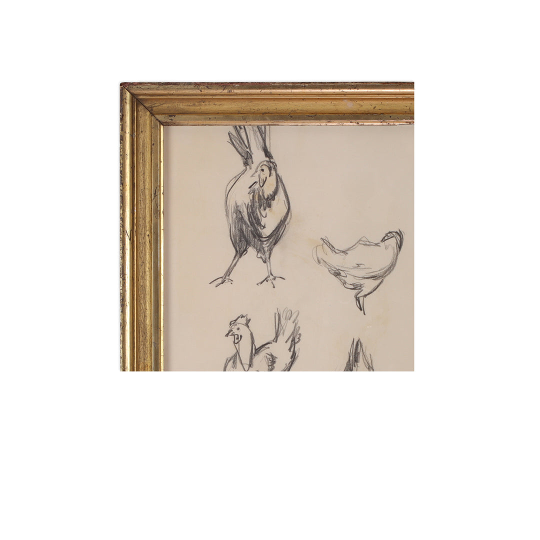 Paul Chidlaw, Framed Bird Study 3 2