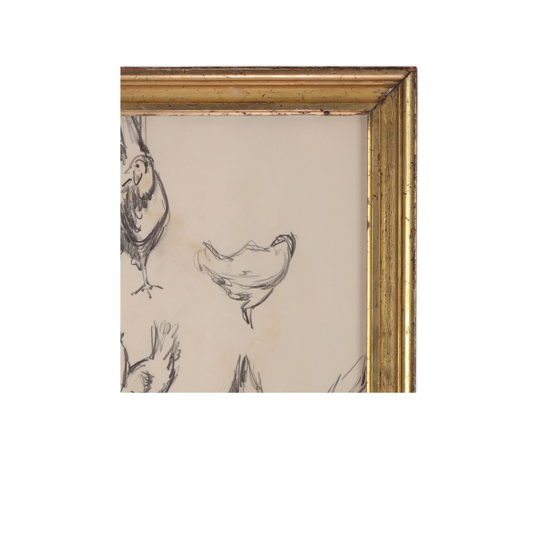 Paul Chidlaw, Framed Bird Study 3 3