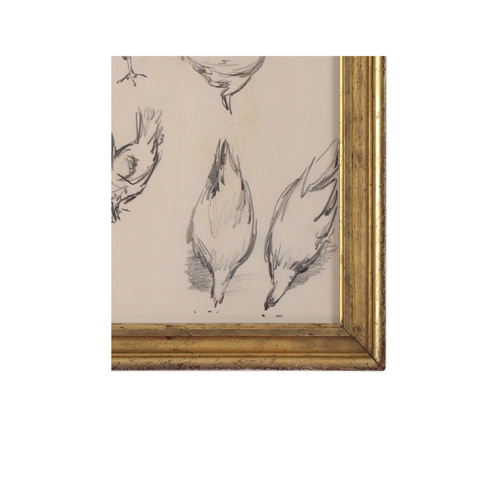 Paul Chidlaw, Framed Bird Study 3 4
