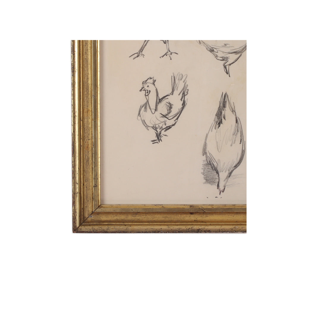 Paul Chidlaw, Framed Bird Study 3 5