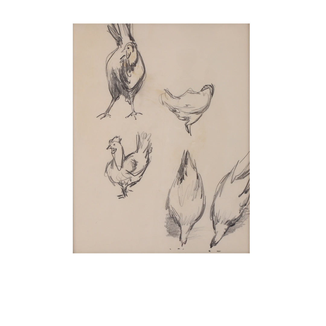 Paul Chidlaw, Framed Bird Study 3 6