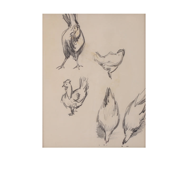 Paul Chidlaw, Framed Bird Study 3 6