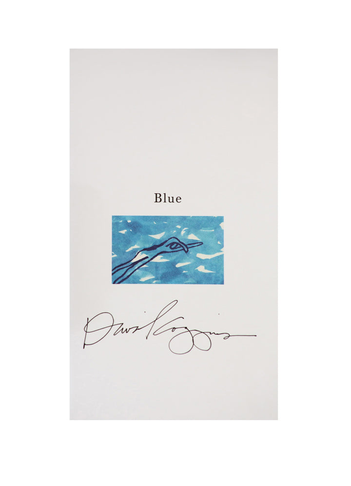 David Coggins, Blue: A St. Barts Memoir