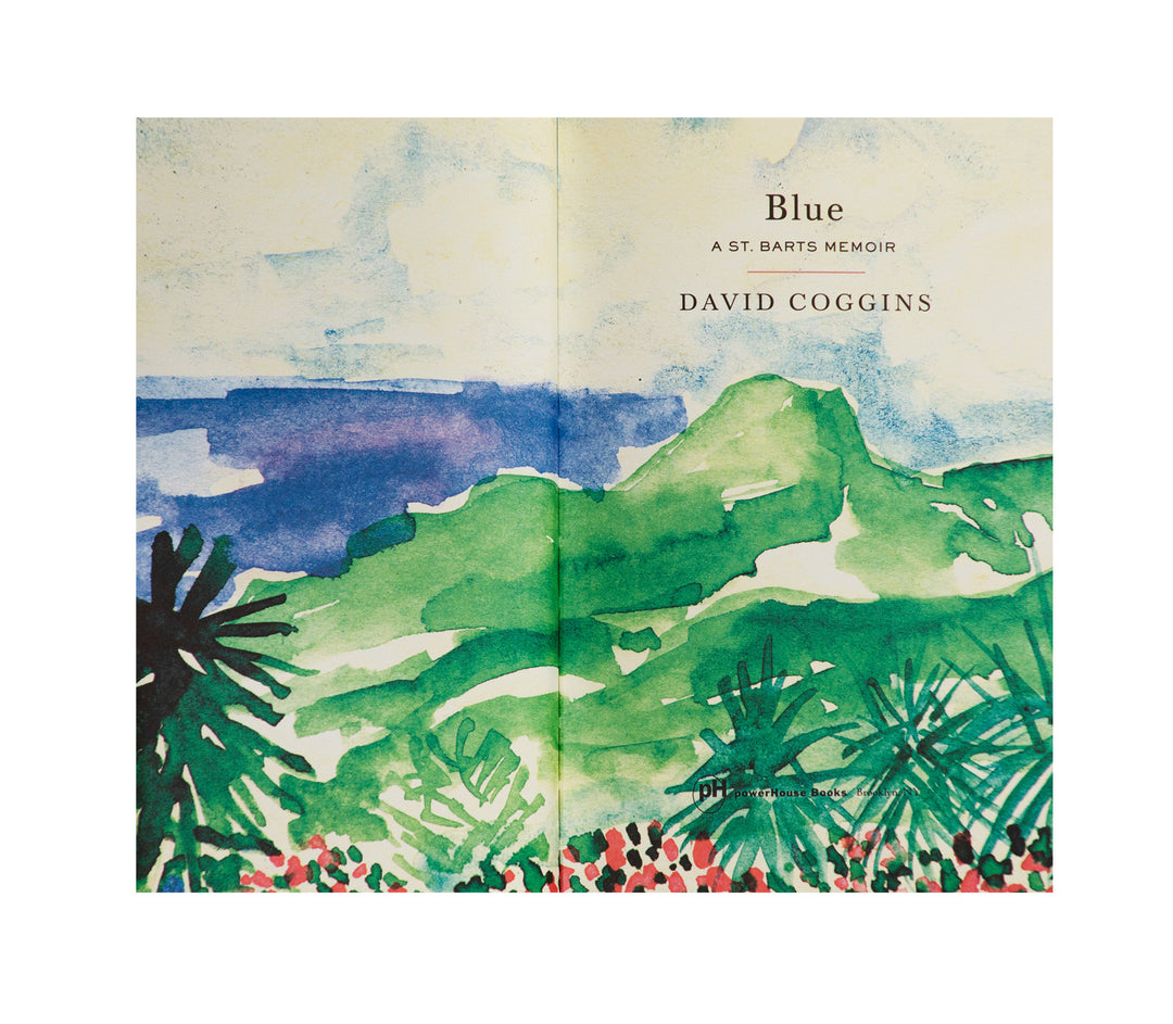 David Coggins, Blue: A St. Barts Memoir