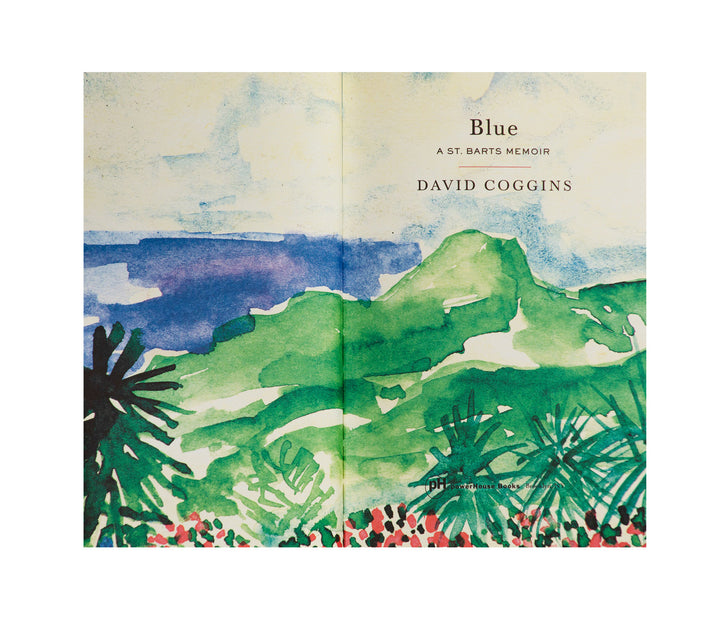 David Coggins, Blue: A St. Barts Memoir